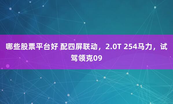 哪些股票平台好 配四屏联动，2.0T 254马力，试驾领克09