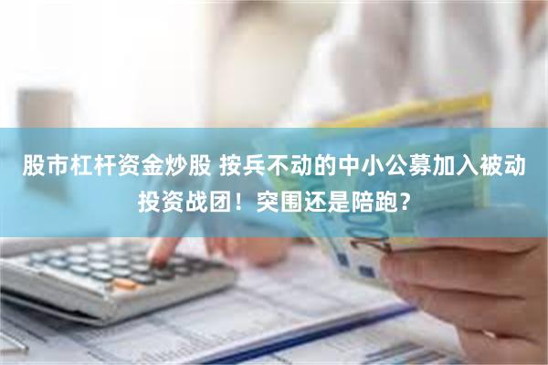 股市杠杆资金炒股 按兵不动的中小公募加入被动投资战团！突围还是陪跑？