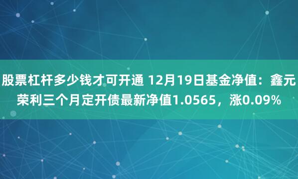 股票杠杆多少钱才可开通 12月19日基金净值：鑫元荣利三个月定开债最新净值1.0565，涨0.09%