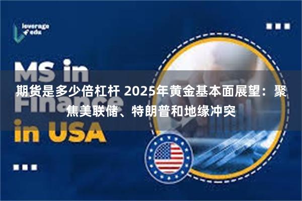 期货是多少倍杠杆 2025年黄金基本面展望：聚焦美联储、特朗普和地缘冲突