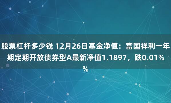 股票杠杆多少钱 12月26日基金净值：富国祥利一年期定期开放债券型A最新净值1.1897，跌0.01%