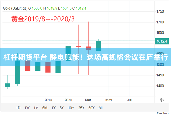 杠杆期货平台 静电赋能！这场高规格会议在庐举行