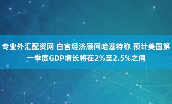 专业外汇配资网 白宫经济顾问哈塞特称 预计美国第一季度GDP增长将在2%至2.5%之间