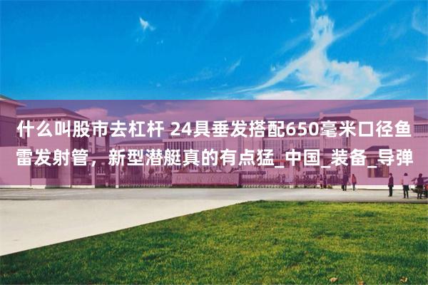 什么叫股市去杠杆 24具垂发搭配650毫米口径鱼雷发射管，新型潜艇真的有点猛_中国_装备_导弹